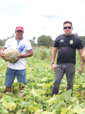 A Agência de Desenvolvimento Sustentável do Amazonas (ADS) realizou, na quarta-feira (12), avaliações de capacidade produtiva em quatro propriedades rurais na comunidade Nossa Senhora da Esperança, Ilha e Costa do Barroso, em Manaquiri (a 60 quilômetros de Manaus). O objetivo foi auxiliar os produtores da agricultura familiar no processo de comercialização dos produtos regionais por meio do Programa Balcão de Agronegócios.