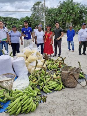 Agricultores familiares indígenas de Japurá e Manaquiri (distantes 744 e 60 quilômetros de Manaus, respectivamente), venderam 5 toneladas de alimentos por meio do Programa de Aquisição de Alimentos (PAA) Indígena. Os itens alimentícios foram escoados, nesta quarta-feira (12/03), pelo Instituto de Desenvolvimento Agropecuário e Florestal Sustentável do Estado do Amazonas (Idam).